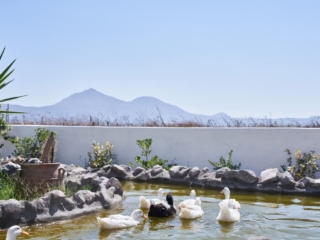 Glarakia Studios_Milos_cyclades